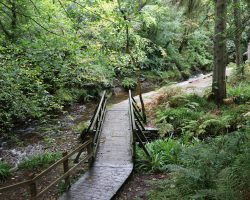The walk through the glen on the way out is beautiful