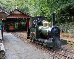 At the end of the footpath, you'll come to Lhen Coan station. Most of what you see here has been carefully reconstructed by volunteers. Even the distinctive train shed is a reconstruction, after the original was scrapped in 1979. Sea Lion, on the other hand, is vintage 1895.