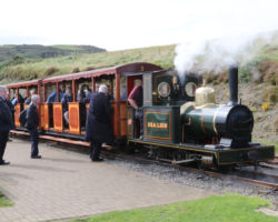 Arriving at the Sea Lion Rocks platform, you can see how small the train really is.
