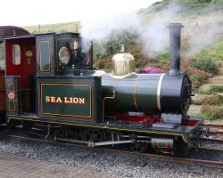 Sea Lion, the line's original 2-4-0T built back in 1895, is still in service today. Never run on the original railway after the WWII shutdown, the engine was preserved on the Isle and was carefully restored in 1987.