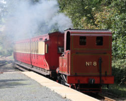 Here's the afternoon eastbound pulling into the Port St. Mary platform.
