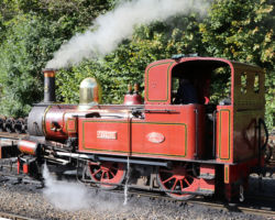Fenella cuts away from the train and heads up into the yards.