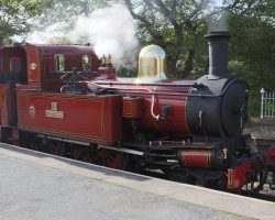 IMR #12, "Hutchinson", named after company director W.A. Hutchinson. Another 2-4-0T, she was built in 1908 by Beyer Peacock.