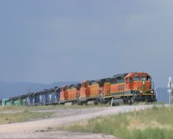 The first catch of Friday, 22-Aug - a light power move with MRLs at Sedalia, CO.