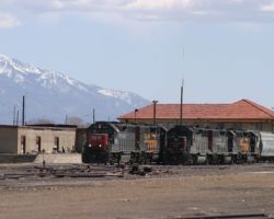 Broken apart for the two locals (the West Local, LDP51, to Monte Vista, and the South Local, LDP53, to Alamosa), the two sets of power sit beside each other at the Alamosa depot.