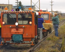 Everyone's turned and ready to head back down the line to Glenwood.