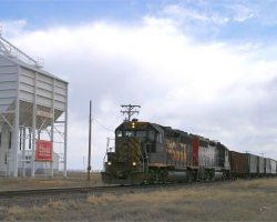 Something else you won't find elsewhere but in the San Luis - Coors barley elevators like this one near La Jara.