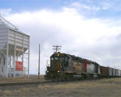 Something else you won't find elsewhere but in the San Luis - Coors barley elevators like this one near La Jara.