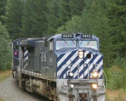 Working up-grade through the forest towards Wedge