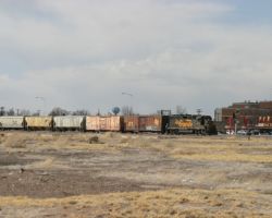The West Local (LDP51) waits on the west side of Alamosa for the South Local (LDP53) to enter and clear the yard.
