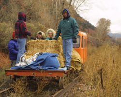 In Iowa, we typically call this a hayrack ride - though usually it involves a hayrack and a tractor...