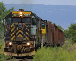 Well, the Montrose Branch sure isn't a mainline - look at those weeds near Frost!