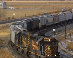 A vertical shot in the light at Roubideau