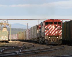 Calling it a day as the light fades at Exeter, above 100 Mile House.