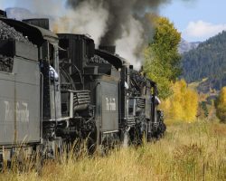 Though the peak foliage color was really a week before, the aspens down at lower altitudes are still looking good. Love those three matching elbows sticking out...