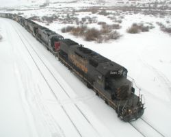 More at Tabernash in the snowstorm