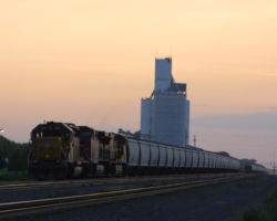 One of those odd moments when you look over and realize that a decent shot found you, rather than the other way around.