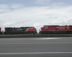 Competitors pass on the port's approach yard.