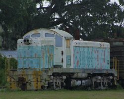 One of the strangest things seen in Florida - FGCX 61, an odd EMD NW5, in Parrish, FL, on 6-May. This is one of only 13 built, and was original Fort Street Union Depot #2.