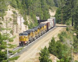 Soon to be heading back in to double track, UP 9391 descends into Emigrant Gap.