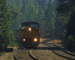 Dropping through the canyons of trees, UP 9391 grinds through the fog at Alta, CA.