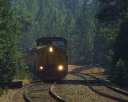 Dropping through the canyons of trees, UP 9391 grinds through the fog at Alta, CA.