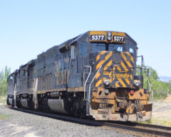 A final look at the light power wasting no time through Wellington