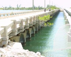 The other side of these still-decked arch bridges at the Lower Sugarloaf Channel bridge.