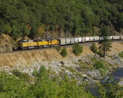 One of the few long open stretches through the FRC is just above the bridges at Pulga. UP 6335, one awful looking SD60M, leads a westbound grain train.