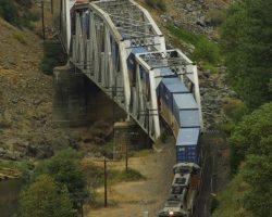 In now failing evening light, UP 4168 winds through the bridges and curves at Pulga. The highway passes above this with a giant arch span that's just out of view in this shot.