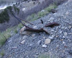 Another view of handrail and pilot