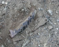 A piece of a louver, smashed flat