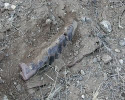 A piece of a louver, smashed flat