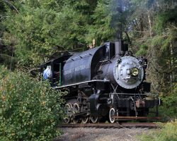 CW #10 heads back to the barn as light power. The section from Yacolt to Chelatchie is excepted track, so no passengers. Besides, most of it is a tree tunnel.