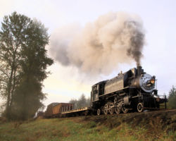 CW 10 and train in the morning fog