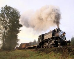 CW 10 and train in the morning fog