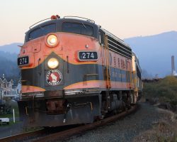 After our photo trains had cleared up, DLMX 274 deadheaded the RDCs north to Wheeler for the next day's regular runs.