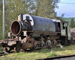 Another Alco 2-8-2T at the Chelatchie shops. Originally Long-Bell Lumber #803