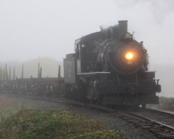 On Friday morning, Garibaldi was completely socked in with a very thick coastal fog.