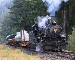 Between the Nehalem River bridge and Foss