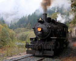 At the end of the line in Salmonberry, OR. The S-curve here is a diversion around where the line washed out, but this was basically the end of passable track in 2014.