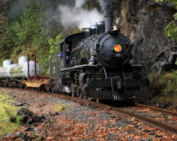 MCRR 25 near Salmonberry, OR