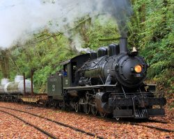MCRR 25 makes its way through the autumn leaves covering the tracks at Salmonberry.