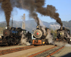 Three hot steam locomotives in Garibaldi on Wednesday afternoon