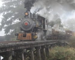 Through the morning fog, Polson #2 crosses one of the slough trestles near Tillamook.
