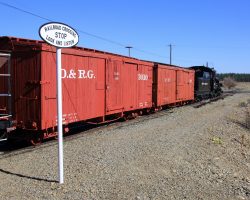 An old style railroad crossing sign at the McEwan depot. The track goes another couple hundred yards to the east. I'm not going to ask where they interchange the D&RG cars.