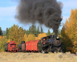Another shot near Sumpter with some fall color.