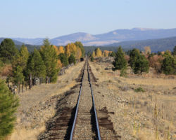 The track from McEwan is pretty much a gunbarrel through the dredge tailing rows