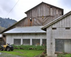 At the Nehalem River Ranch, the barn turns out to be an old engine shed from the early days of the railroad. Note the huge (and now blocked) doors.