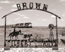 Just playing with the camera and one of the local ranch signs.